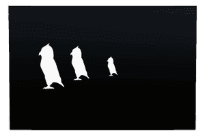 Square - Owl memorial design preview