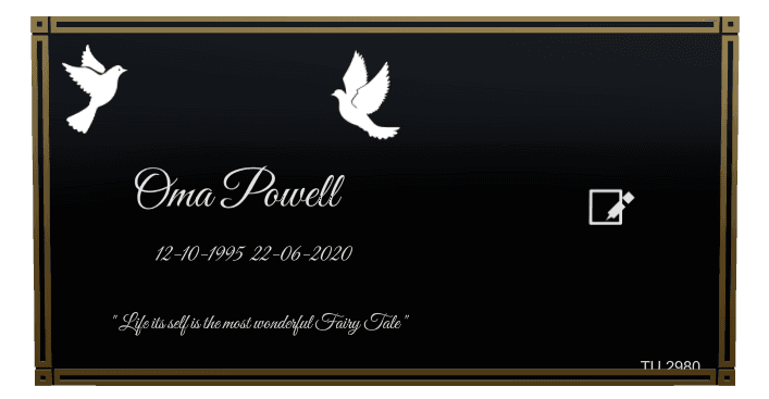 Square Laser-Etched Color Plaque – Birds Dove Plaque preview