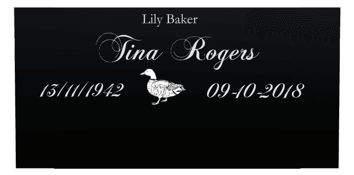 Square Laser-Etched Color Plaque – Bird preview