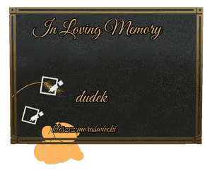 Square - In Loving Memory 19 memorial design preview