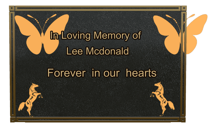 Bronze Plaque Bronze Plaque – Forever in Our Hearts preview