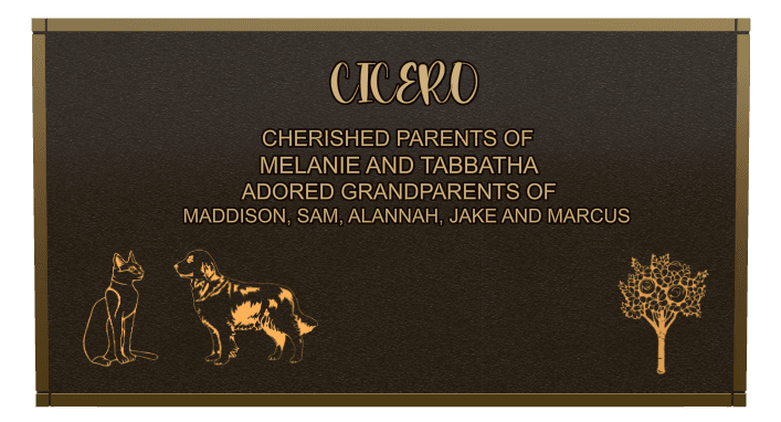 Bronze Plaque Bronze Plaque – Cat Dog preview