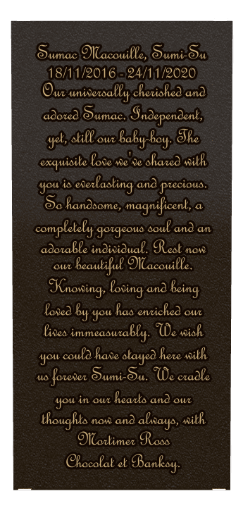 Square Bronze Plaque – Baby Plaque preview