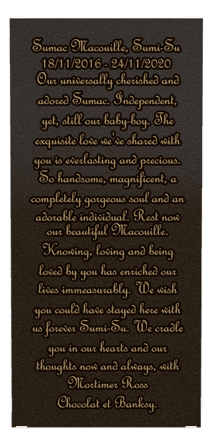 Square - Baby Plaque memorial design preview
