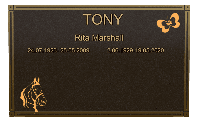 Bronze Plaque Bronze Plaque – John preview
