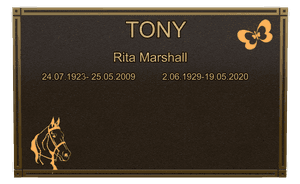 Bronze Plaque - John 2 memorial design preview