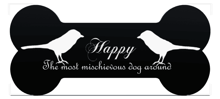 Bone Laser-Etched Black Granite Headstone – Bird preview