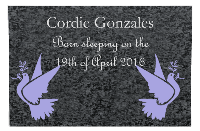 Square Traditional Engraved Plaque – Dove Plaque preview