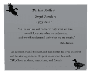 Rectangle Landscape Bird Duck memorial design preview