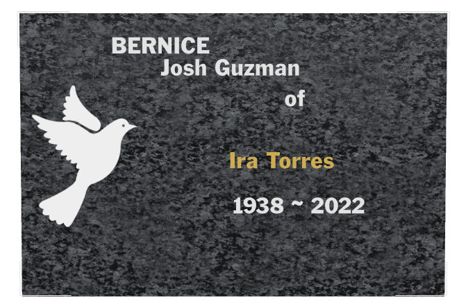 Rectangle (landscape) Traditional Engraved Plaque – dove preview