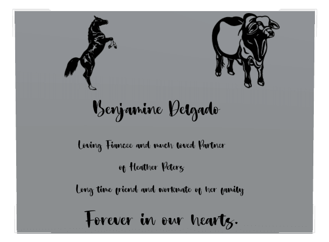 Stainless Steel Plaque Bronze Plaque – Much Loved preview