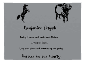 Stainless Steel Plaque - Much Loved memorial design preview