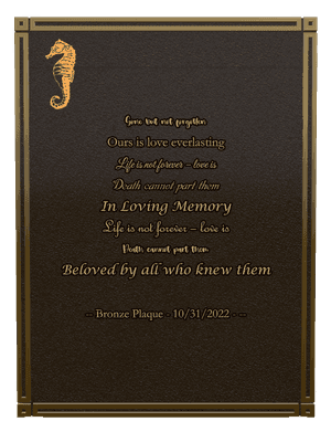 Bronze Plaque - Gone But Not Forgotten Plaque memorial design preview