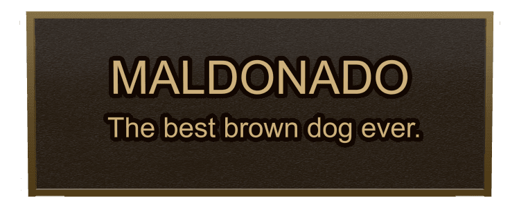 Rectangle (landscape) Bronze Plaque – Pet Memorial preview