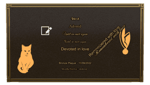 Bronze Plaque - Until we Meet Again memorial design preview