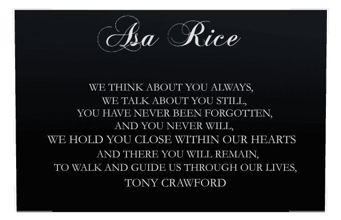Rectangle (landscape) Laser-Etched Color Plaque – Garden Memorial preview