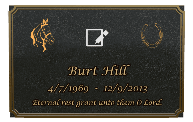 Rectangle (landscape) Bronze Plaque – horse preview