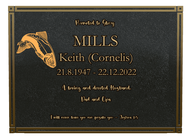 Rectangle (landscape) Bronze Plaque – fish preview
