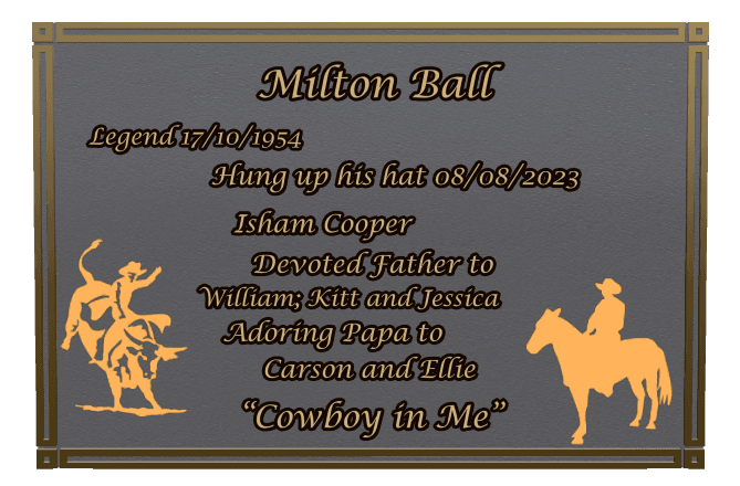 Rectangle (landscape) Bronze Plaque – horse and horses preview