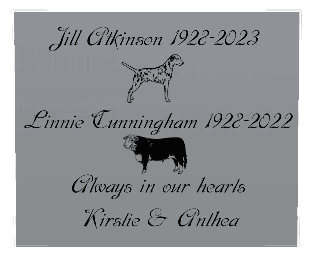 Rectangle (landscape) Bronze Plaque – dog and horse preview