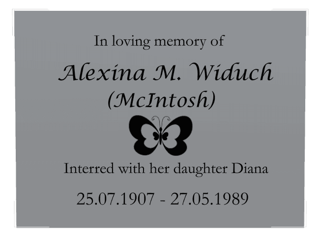 Rectangle (landscape) Stainless Steel Plaque – butterflies preview