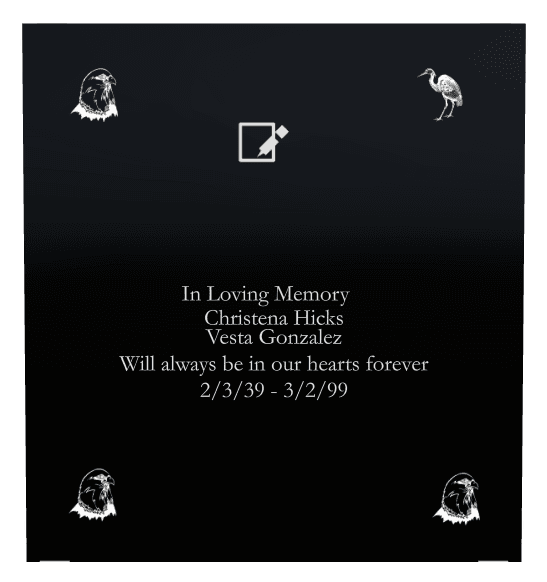 Rectangle (landscape) Laser-Etched Color Plaque – bird preview