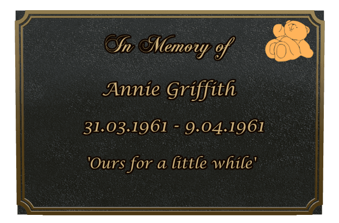 Rectangle (landscape) Bronze Plaque – teddy-bear preview