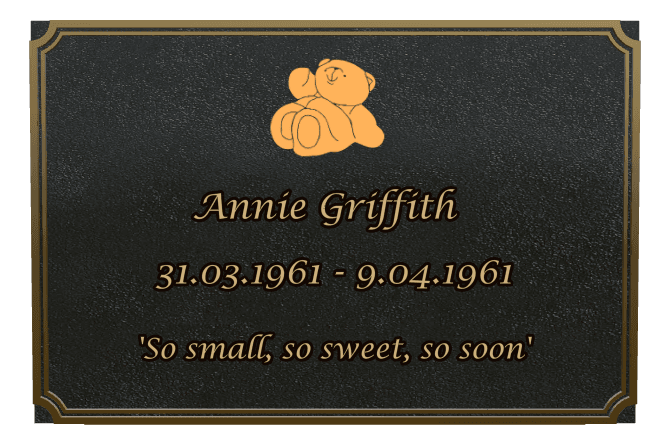 Rectangle (landscape) Bronze Plaque – teddy-bear preview