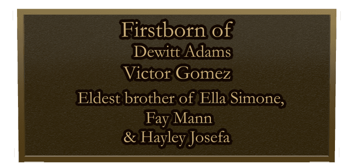 Rectangle (landscape) Bronze Plaque – Brother Memorial preview