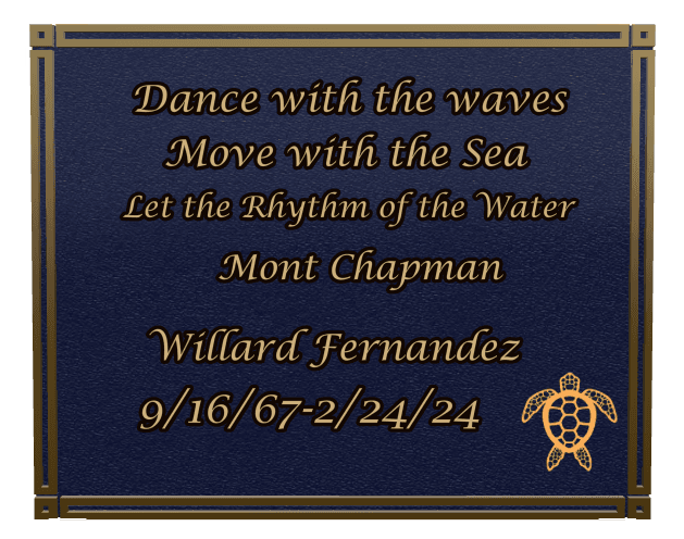Rectangle (landscape) Bronze Plaque – turtle preview