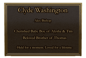 Brother Memorial Bronze Plaque preview