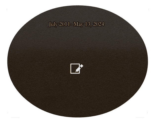Oval (landscape) Bronze Plaque – Baby Memorial preview