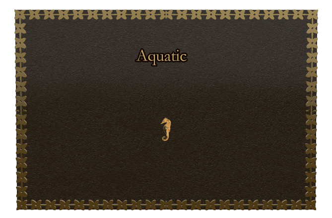 Rectangle (landscape) Bronze Plaque – fish preview