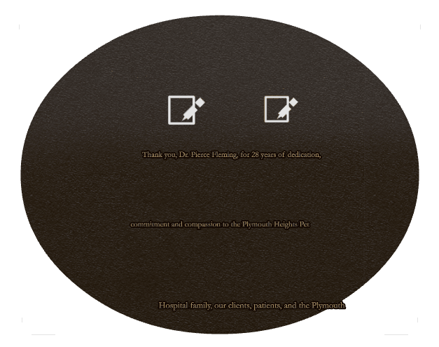 Oval (landscape) Bronze Plaque – Pet Memorial preview