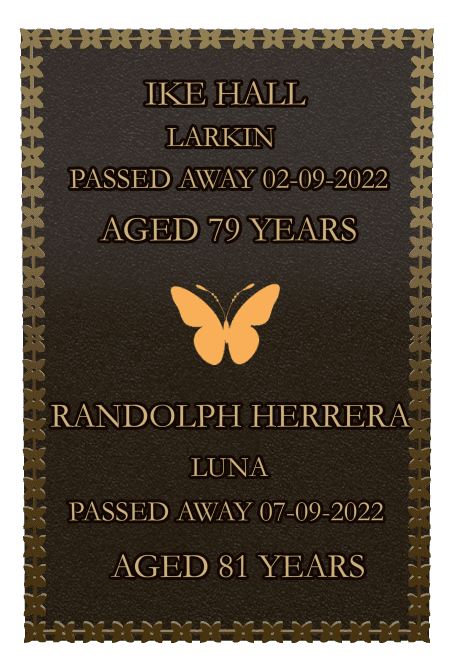 Rectangle (portrait) Bronze Plaque – butterflies preview