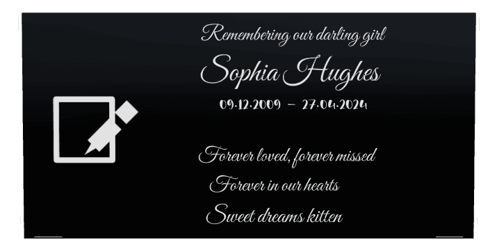 Rectangle (landscape) Laser-Etched Color Plaque – Pet Memorial preview
