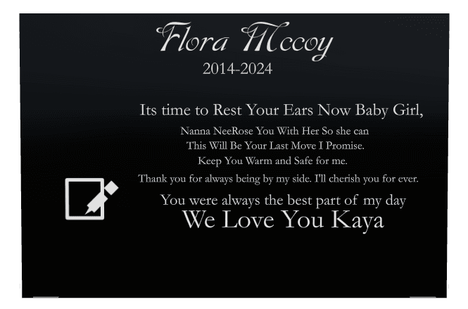 Rectangle (landscape) Laser-Etched Color Plaque – Baby Memorial preview