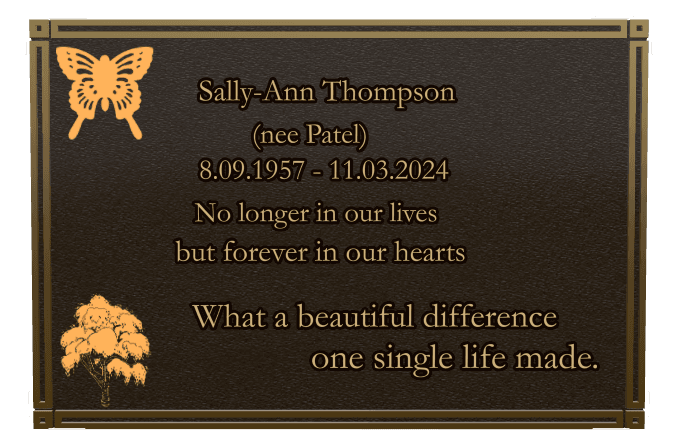 Rectangle (landscape) Bronze Plaque – butterflies preview