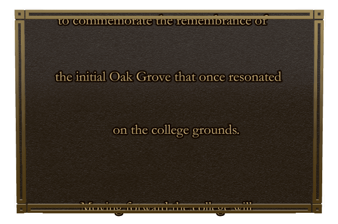 Rectangle (landscape) Bronze Plaque – Commemorative preview