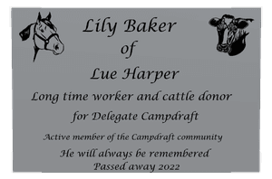Rectangle Landscape Horse Plaque memorial design preview