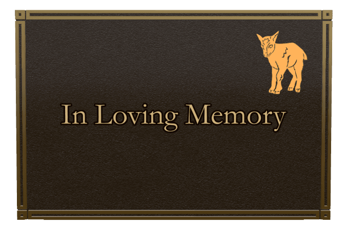 Rectangle (landscape) Bronze Plaque – bird preview