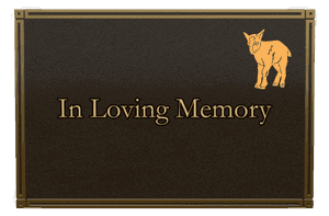 Rectangle Landscape in Loving Memory 87 memorial design preview