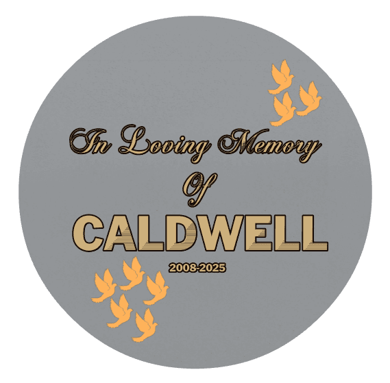 Circle Bronze Plaque – In Loving Memory preview