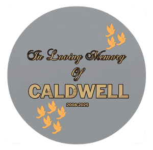 Circle - In Loving Memory memorial design preview