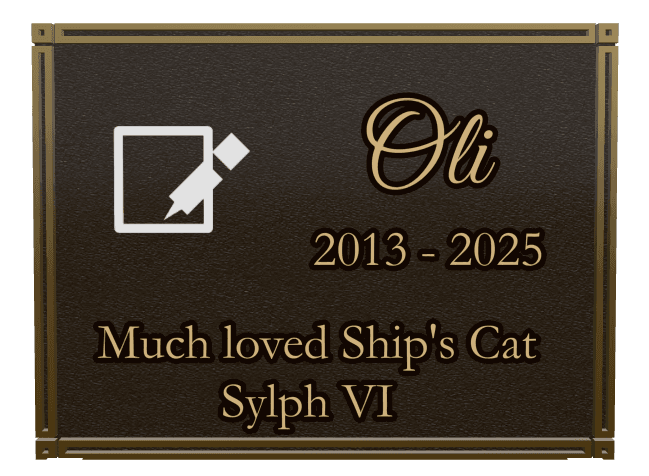 Rectangle (landscape) Bronze Plaque – Pet Memorial preview