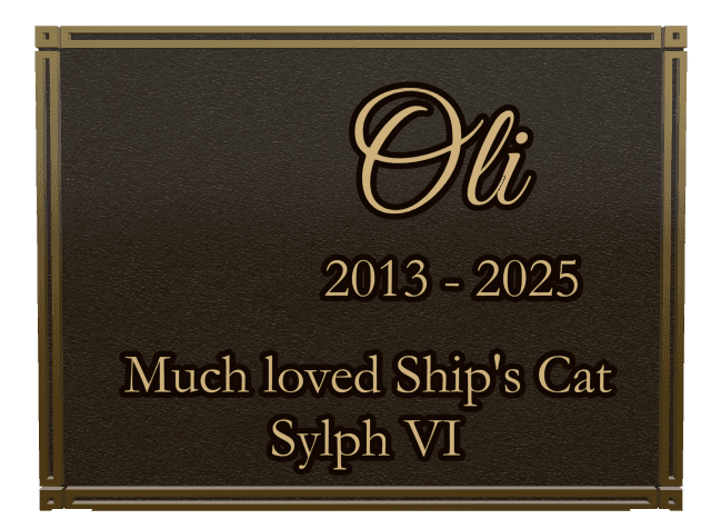Rectangle (landscape) Bronze Plaque – Pet Memorial preview