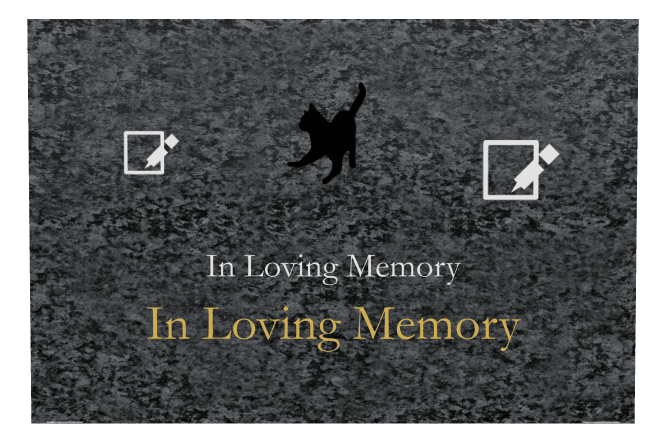 Rectangle (landscape) Traditional Engraved Plaque – cat preview