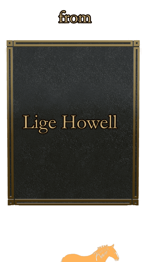 Rectangle (portrait) Bronze Plaque – horse preview