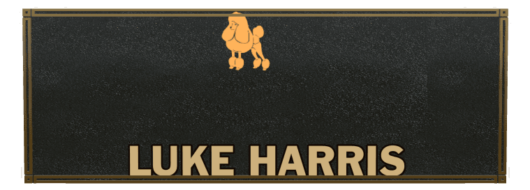 Rectangle (landscape) Bronze Plaque – dog preview