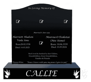 Serpentine - Much Loved 12 memorial design preview